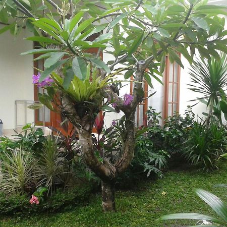 Jepun Bali Homestay Sanur Exterior photo