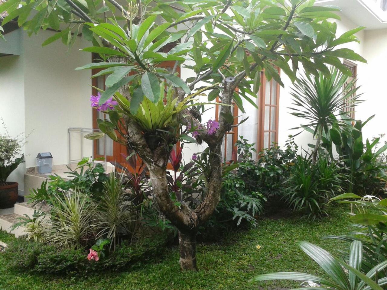Jepun Bali Homestay Sanur Exterior photo